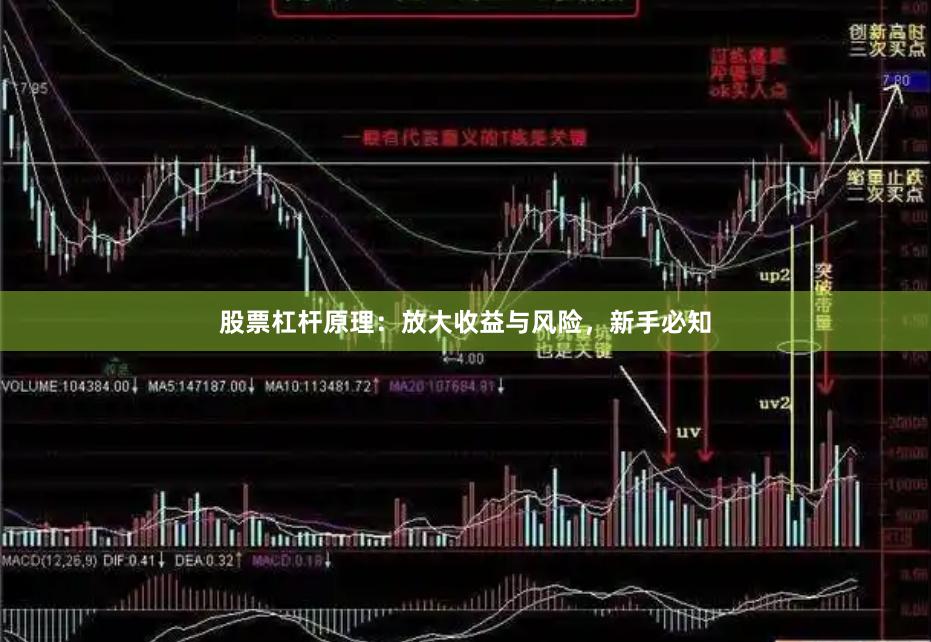 股票杠杆原理：放大收益与风险，新手必知